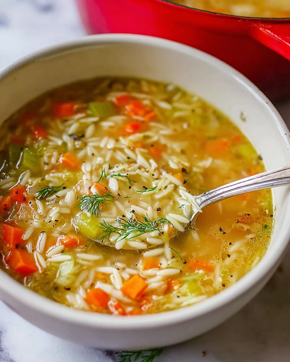 Easy Orzo, Leek and Dill Soup Recipe - Recipe Image