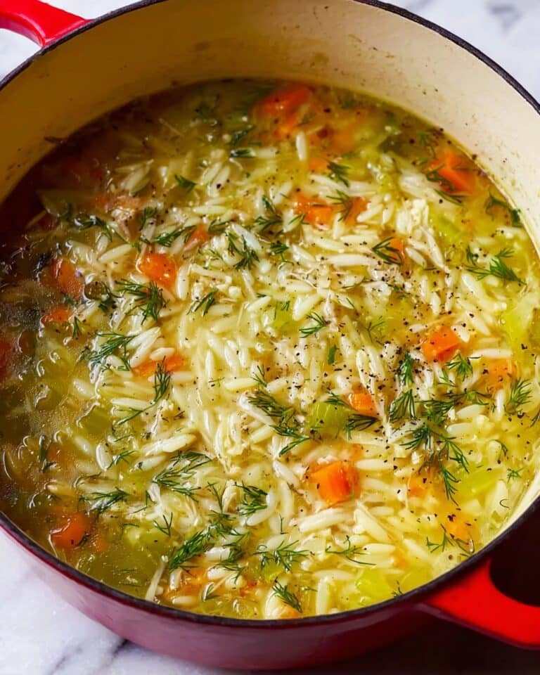 Easy Orzo, Leek and Dill Soup Recipe
